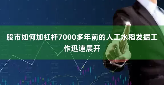 股市如何加杠杆7000多年前的人工水稻发掘工作迅速展开