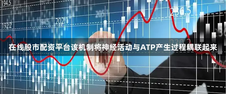 在线股市配资平台该机制将神经活动与ATP产生过程耦联起来