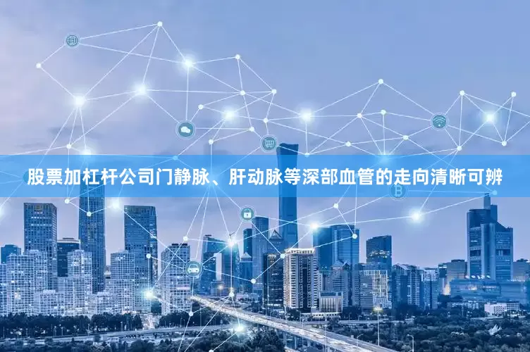 股票加杠杆公司门静脉、肝动脉等深部血管的走向清晰可辨