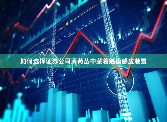 如何选择证券公司薄荷丛中藏着触摸感应装置